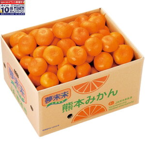 Gg[Ń|Cg10{y~̑́zF{Y݂ 