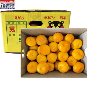 Gg[Ń|Cg10{y~̑́zF{Y ̃}݂iGiAv5kgȏj