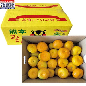 Gg[Ń|Cg10{y~̑́zF{Y ̃}݂iDiAv5kgȏj