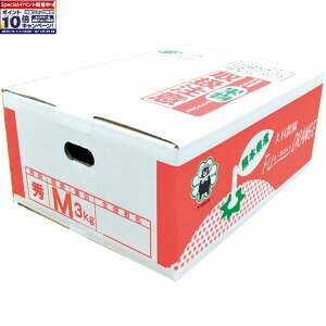 Gg[Ń|Cg10{y~̑́zF{Yi呺_j呺_̓V݂3kg