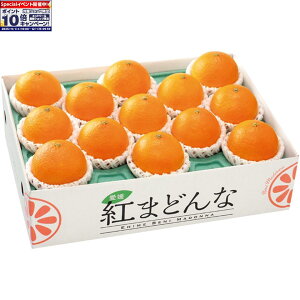 Gg[Ń|Cg10{y~̑́zQYg܂ǂȁiMTCY13LTCY11j