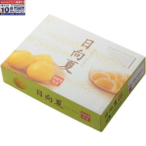 Gg[Ń|Cg10{y~̑́z{茧YăMtg