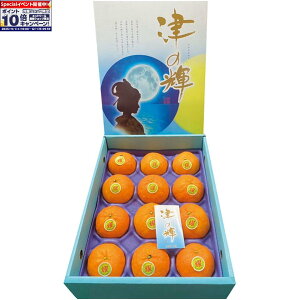 Gg[Ń|Cg10{y~̑́zꌧYÔVPiϔj