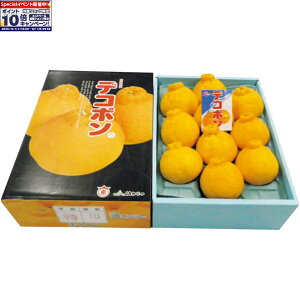 Gg[Ń|Cg10{y~̑́zꌧYiÔ_ƋgjfR|