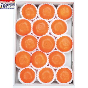 Gg[Ń|Cg10{y~̑́zF{Ysʎ݂̂͂