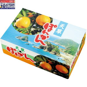 Gg[Ń|Cg10{y~̑́zF{YV|Ji2LTCYA30j