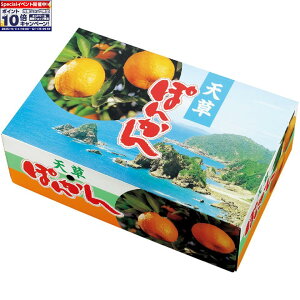 Gg[Ń|Cg10{y~̑́zF{YV|JiLTCYA36j