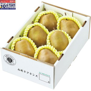 Gg[Ń|Cg10{y~̑́zR`YX[p[EtX A