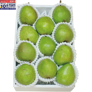 Gg[Ń|Cg10{y~̑́zR`YEtX 3kg