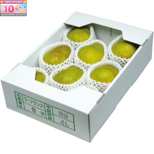 Gg[Ń|Cg10{y~̑́zR`YEtX4L8