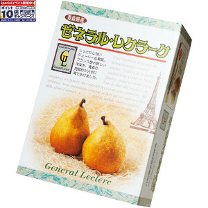 Gg[Ń|Cg10{y~̑́zXYiJAˁj[lEN[N