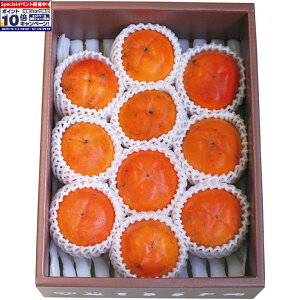 Gg[Ń|Cg10{y~̑́zYZT[Iʂ̉Â݂炸`