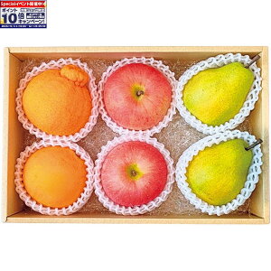 Gg[Ń|Cg10{y~̑́zXYEF{YER`YTӂ񂲁fR|tX