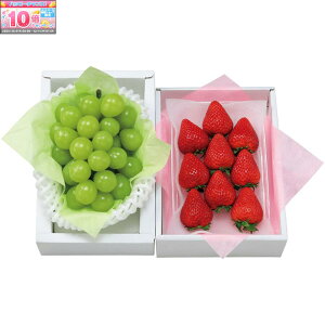 Gg[Ń|Cg10{y~̑́zꌧYERY䕁VC}XJbg