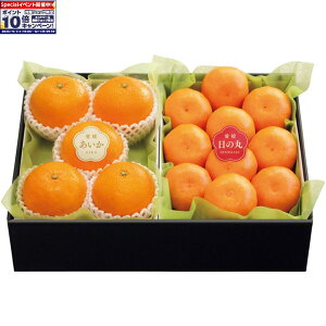 Gg[Ń|Cg10{y~̑́zQYFåۂ݂E