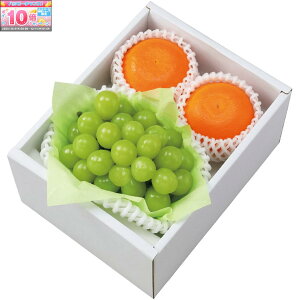 Gg[Ń|Cg10{y~̑́zQERYg܂ǂȁVC}XJbg