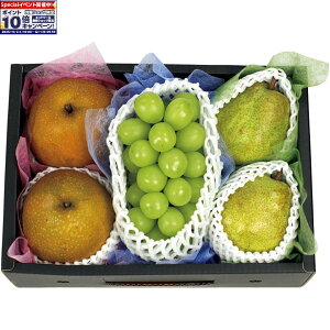 Gg[Ń|Cg10{y~̑́zYVC}XJbgAaAR`YmȂl