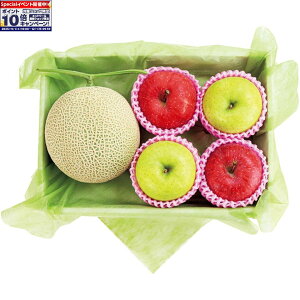 Gg[Ń|Cg10{y~̑́zÉYEXYÉYNEƃTӂƉуZbg