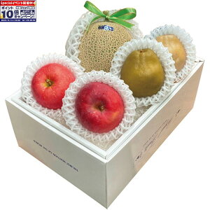 Gg[Ń|Cg10{y~̑́zmYEXYER`YA[XTӂtX