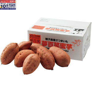 Gg[Ń|Cg10{y~̑́zYq S[2kg