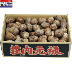 Gg[Ń|Cg10{y~̑́zR`Yiunjyu\v