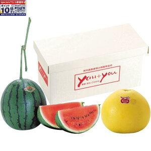 Gg[Ń|Cg10{y~̑́zF{YӔMÊ Zbg