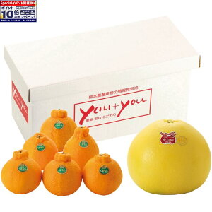 Gg[Ń|Cg10{y~̑́zF{YӔMEfR|Zbg