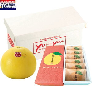 Gg[Ń|Cg10{y~̑́zF{YӔMEӔM\Zbg