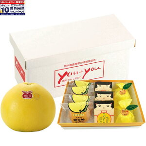 Gg[Ń|Cg10{y~̑́zF{YӔMZbg