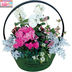 Gg[Ń|Cg10{y~̑́zԂ̊C~̊񂹐AuSnow ColorviSUSTEEtj