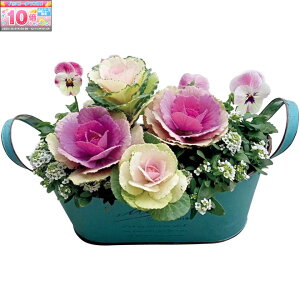 Gg[Ń|Cg10{y~̑́zԂ̊C~̊񂹐AuLovely DayviSUSTEEtj