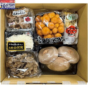 Gg[Ń|Cg10{y~̑́zOcƂ̂̂Zbg