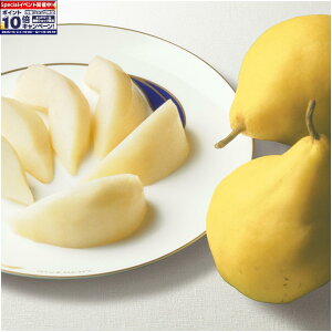 Gg[Ń|Cg10{y~̑́zVYiJAnjEN`Gimji6[11Av2D9kgȏj