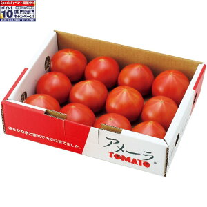 Gg[Ń|Cg10{y~̑́zÉYiJAjA[g}g