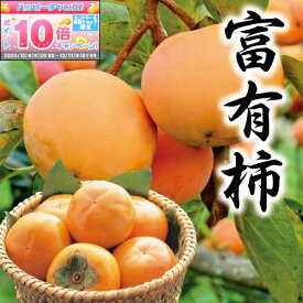 ★エントリーでポイント10倍★【柿ギフト】岐阜県産冨有柿 3Lサイズ 10玉