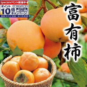 Gg[Ń|Cg10{y`MtgzJAȂ炯xL`2LTCY12