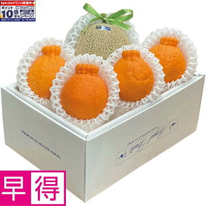 Gg[Ń|Cg10{y~̑̑zmYEF{YA[XfR|iA[X1AfR|4j