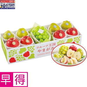 Gg[Ń|Cg10{y~̑̑zR`Yt[c܂ ʎ̋l