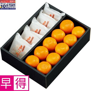 Gg[Ń|Cg10{y~̑̑za̎RYۊ`i嗱jƗLc݂