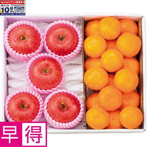 Gg[Ń|Cg10{y~̑̑zXYEQY͘a̎RYTӂ񂲂Ƃ݂̋l