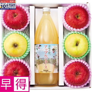 Gg[Ń|Cg10{y~̑̑zXYTӂ񂲁ܖ񂲂ƗьW[Xl