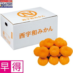 Gg[Ń|Cg10{y~̑̑zQYiJAFa݂鋤Ij݂݂  DiAMLTCYAv3D9kgȏ