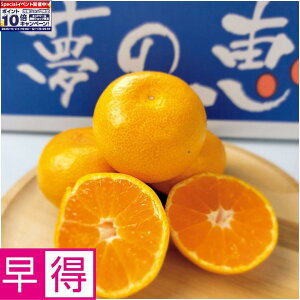 Gg[Ń|Cg10{y~̑̑zF{Y݂ ̌b SMTCYAv2D8kgȏ