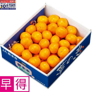 Gg[Ń|Cg10{y~̑̑zF{Y݂ ̌b SMTCYAv4kgȏ