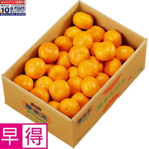 Gg[Ń|Cg10{y~̑̑zF{Y݂ SMLTCYAv4kgȏ