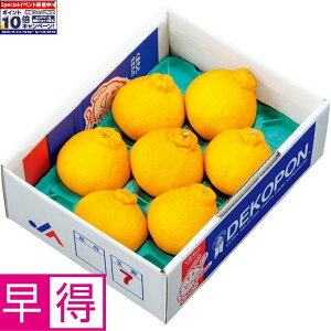 Gg[Ń|Cg10{y~̑̑zF{YfR| 5`7Av2kgȏAl