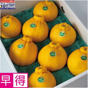 Gg[Ń|Cg10{y~̑̑zF{YfR| 8`12Av3kgȏAl