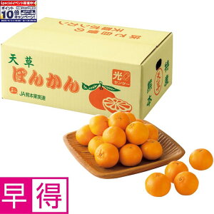 Gg[Ń|Cg10{y~̑̑zF{YV|J MLTCYAv3D5kgȏ