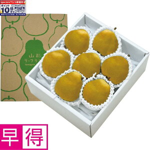 Gg[Ń|Cg10{y~̑̑zR`YiRsjmȂ̃S[hi3L`5LTCYA5`7Av2kgȏj