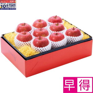 Gg[Ń|Cg10{y~̑̑zXYTӂ GiALTCYA9i1290gȏj